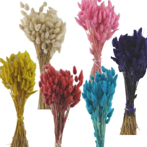 Temizlik Ürünleri ve Aparatları